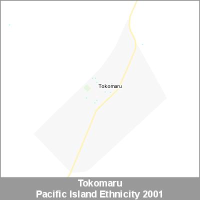 Ethnicity Tokomaru Pacific ProductImage 2001