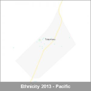 Ethnicity Tokomaru Pacific ProductImage 2013