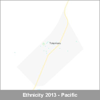 Ethnicity Tokomaru Pacific ProductImage 2013