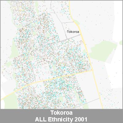Ethnicity Tokoroa ALL ProductImage 2001