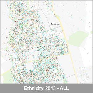 Ethnicity Tokoroa ALL ProductImage 2013