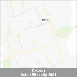 Ethnicity Tokoroa Asian ProductImage 2001