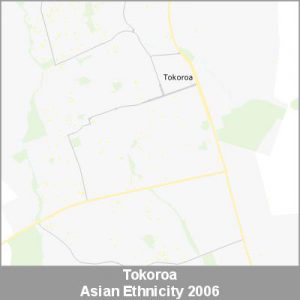 Ethnicity Tokoroa Asian ProductImage 2006