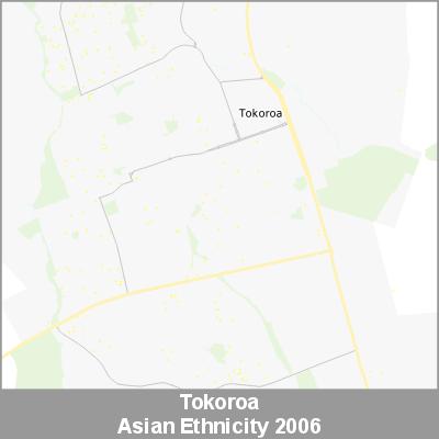 Ethnicity Tokoroa Asian ProductImage 2006