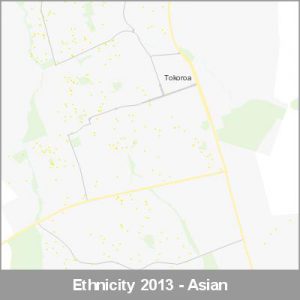 Ethnicity Tokoroa Asian ProductImage 2013
