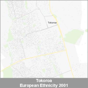 Ethnicity Tokoroa European ProductImage 2001