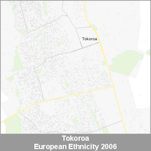 Ethnicity Tokoroa European ProductImage 2006