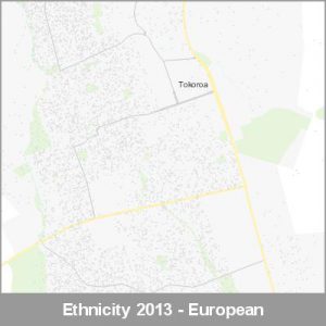 Ethnicity Tokoroa European ProductImage 2013