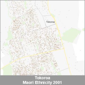 Ethnicity Tokoroa Maori ProductImage 2001