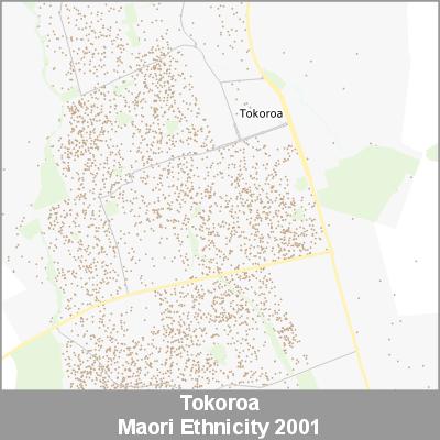 Ethnicity Tokoroa Maori ProductImage 2001