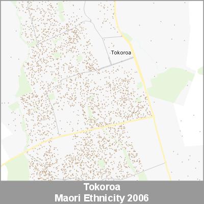 Ethnicity Tokoroa Maori ProductImage 2006