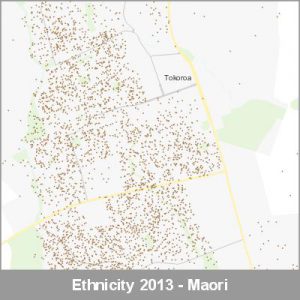 Ethnicity Tokoroa Maori ProductImage 2013