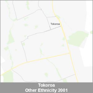 Ethnicity Tokoroa Other ProductImage 2001