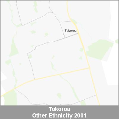 Ethnicity Tokoroa Other ProductImage 2001