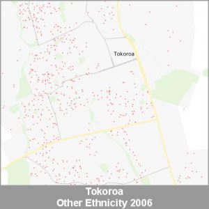 Ethnicity Tokoroa Other ProductImage 2006