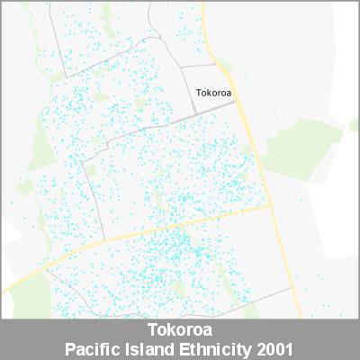 Ethnicity Tokoroa Pacific ProductImage 2001