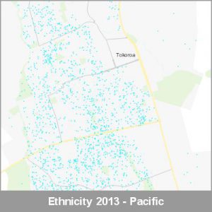Ethnicity Tokoroa Pacific ProductImage 2013