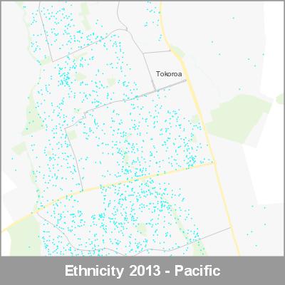 Ethnicity Tokoroa Pacific ProductImage 2013