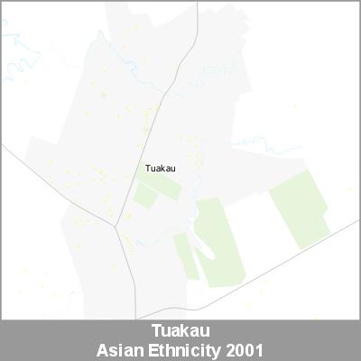 Ethnicity Tuakau Asian ProductImage 2001