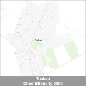 Ethnicity Tuakau Other ProductImage 2006