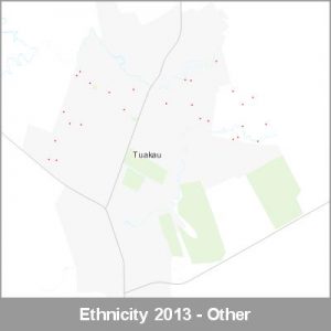 Ethnicity Tuakau Other ProductImage 2013