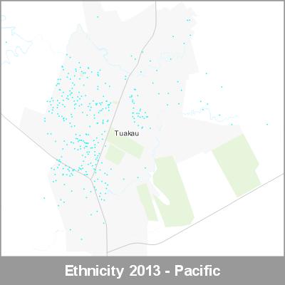 Ethnicity Tuakau Pacific ProductImage 2013
