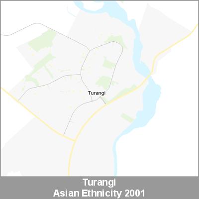 Ethnicity Turangi Asian ProductImage 2001