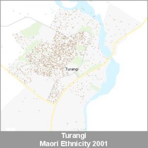 Ethnicity Turangi Maori ProductImage 2001