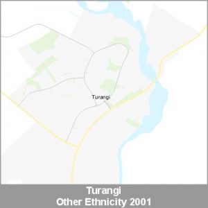 Ethnicity Turangi Other ProductImage 2001