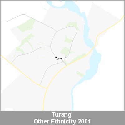 Ethnicity Turangi Other ProductImage 2001