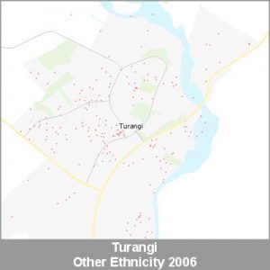 Ethnicity Turangi Other ProductImage 2006