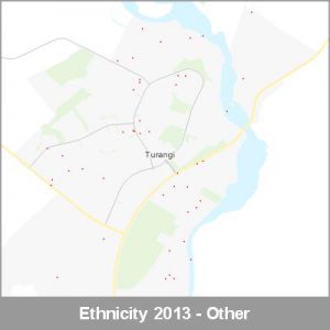 Ethnicity Turangi Other ProductImage 2013
