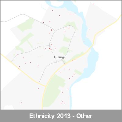 Ethnicity Turangi Other ProductImage 2013