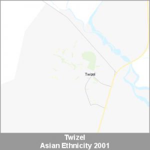 Ethnicity Twizel Asian ProductImage 2001