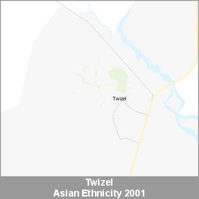 Ethnicity Twizel Asian ProductImage 2001