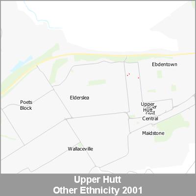 Ethnicity Upper Hutt Other ProductImage 2001