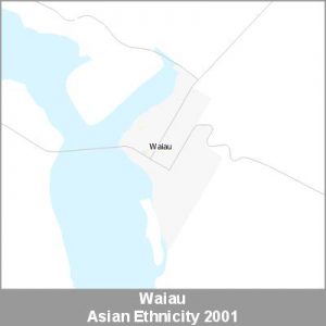 Ethnicity Waiau Asian ProductImage 2001