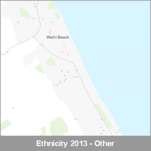Ethnicity Waihi Beach Other ProductImage 2013