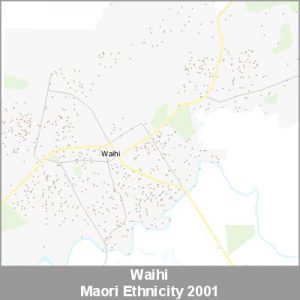 Ethnicity Waihi Maori ProductImage 2001