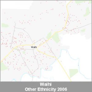 Ethnicity Waihi Other ProductImage 2006