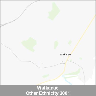Ethnicity Waikanae Other ProductImage 2001