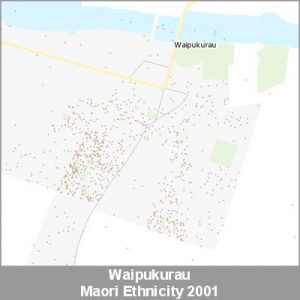 Ethnicity Waipukurau Maori ProductImage 2001