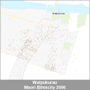 Ethnicity Waipukurau Maori ProductImage 2006