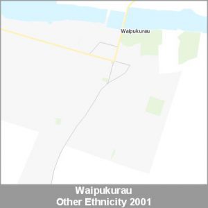 Ethnicity Waipukurau Other ProductImage 2001
