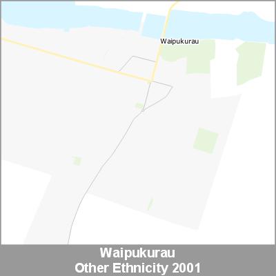 Ethnicity Waipukurau Other ProductImage 2001