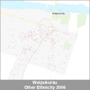 Ethnicity Waipukurau Other ProductImage 2006