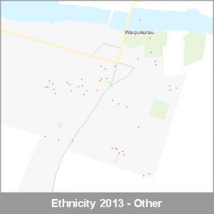 Ethnicity Waipukurau Other ProductImage 2013
