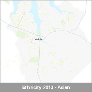 Ethnicity Waiuku Asian ProductImage 2013