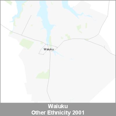 Ethnicity Waiuku Other ProductImage 2001