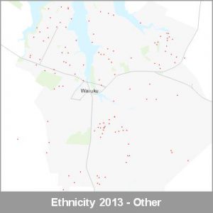 Ethnicity Waiuku Other ProductImage 2013